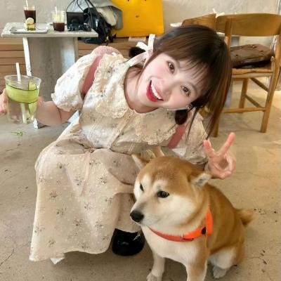 小狗丹的物语